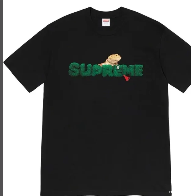 Black T-shirt XL Short Lizard 20SS Plant M Environmental White Tee Green Logo S sleeved L 0819